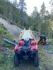 temporärer Zugang zum Holzschlag Kessi in Filisur, September 2021
