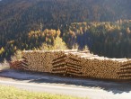 Holzrolle zum Abtransport vorbereitet