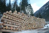 entrindetes Fichtenholz für das Bergholzzentrum Bergün